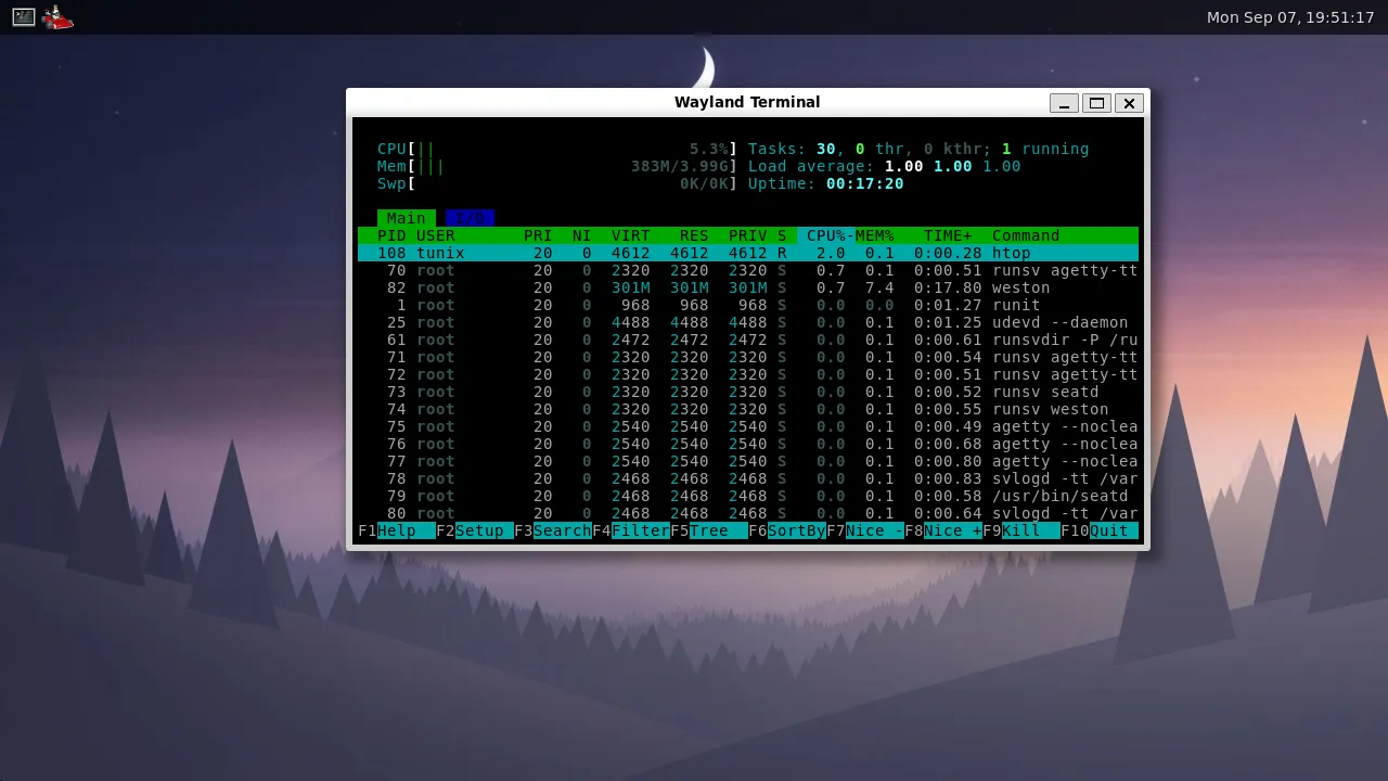 Weston running on Tunix